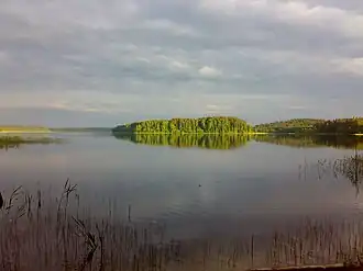 A large lake with trees on the far shore