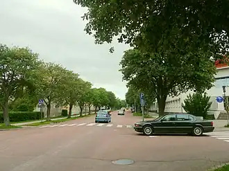 Ålandsvägen, a tree-lined street with linden trees.