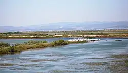 Evros Delta