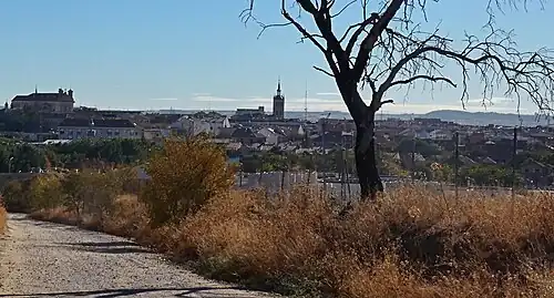 View of the skyline of Illescas in autumn, with a road and a tree without leaves in the foreground