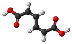 Ball-and-stick model of the cis,cis-muconic acid molecule