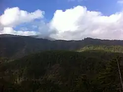 Due to drying and cooling of the climate at the onset of the Pleistocene ice age in Kizilcahamam, the Sequoia forests with their many exotic plant species disappeared and have now been replaced by Scots pine (Pinus sylvestris) forests.