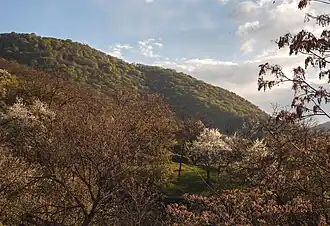 Scenery around Koghb