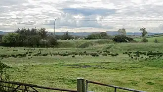 Laigh Mains Motte viewed from lane to High Mains farm