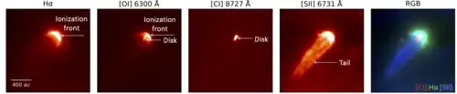 Components of proplyd 177-341W in the Orion Nebula observed with VLT MUSE, showing an ionization front, protoplanetary disk, and tail[29]