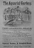 Advertisement for "the learned seals," 1860
