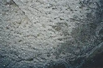 February icy vault in the cave