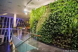 Outside the Bella Sky restaurant