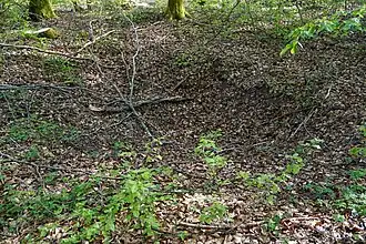 Funnel-shaped hole, remnant of shaft no. 4