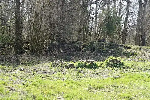 The spoil heap.