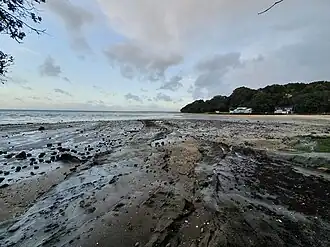 French Bay / Otitori Bay at low tide