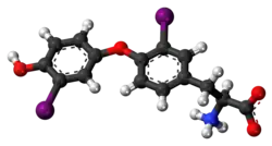 Ball-and-stick model of the 3,3'-diiodothyronine molecule as a zwitterion