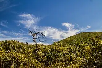 Akçakent countryside