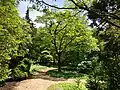 Many trees species are within the arboretum.