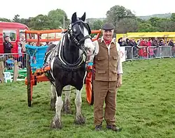 Image 3Mr Pack dressed in traditional Yorkshire attire takes his horse, Danny, for a turn of the field in front of the crowd at Otley Show. (from Culture of Yorkshire)