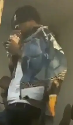 Thouxanbanfauni in 2019