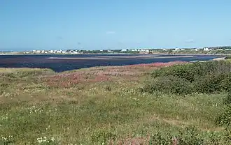 River and Municipality