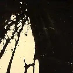 No. 283 Sonderkommando in Auschwitz-Birkenau, August 1944 (clandestine photo) Picture pointed too high