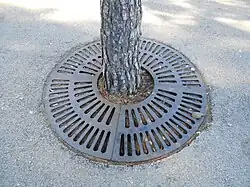 Tree grate.