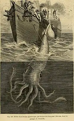 #18 (30/11/1861), This much-reproduced image appeared in Louis Figuier's La vie et les mœurs des animaux (Figuier, 1866:467, fig. 362; shown here) and Henry Lee's Sea Monsters Unmasked (Lee, 1883:39, fig. 8), among others, but Muntz (1995:21) wrote that its original source was uncertain.