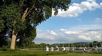 The marina connects to the south end of Cayuga Lake via the lake inlet.