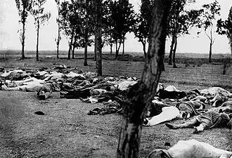 Photograph of the bodies of dozens of Armenians in a field