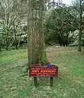 A tree at the mouth of the glen planted in 1933 by aviator Amy Johnson