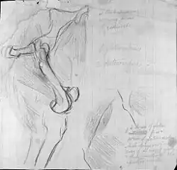G-130D. Anatomical notes on a Horse (1878), Hirshhorn Museum and Sculpture Garden.