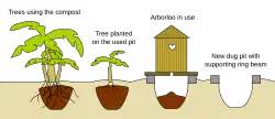 An Arborloo for later planting trees.