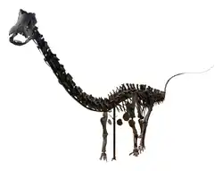 Composite skeleton