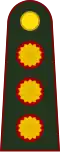 General de división (Argentine Army)[5]