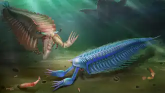 Life reconstruction of Fortiforceps (left) and Sklerolibyon (right)