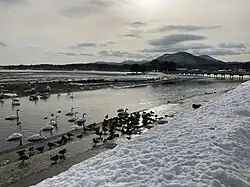 The tidal flats of Asadokoro