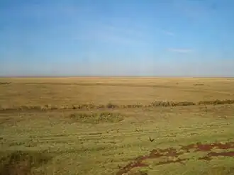 The steppe in Akmola Region, Kazakhstan.