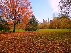 Cardiff Castle and Bute Park