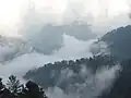 Cloud can be seen from track between Donga Gali and Ayubia known as Ayubia National Park track.