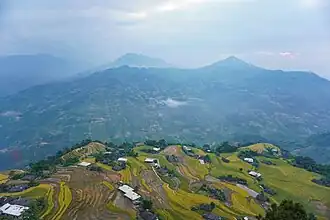 Rice terraces in Phùng village.