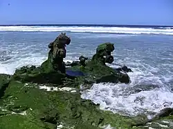 Landing craft wreckage on Baker Island coast