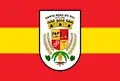 Flag of Santa Rosa do Sul