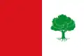 Flag of El Peral