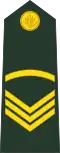 Sergeant (Bengali: সার্জেন্ট, romanized: Sārjēnṭa) (Bangladesh Army)[42]