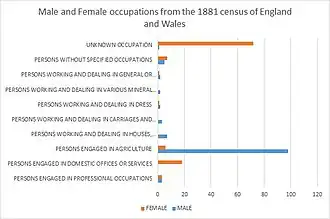 chart showing the occupations of the population in High Laver through genders in the year 1881, as reported by the VisionofBritain website.[15]