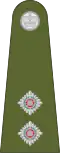 Lieutenant