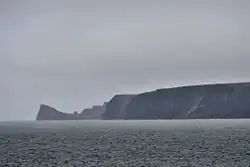 Belkovsky Island (Anzhu Islands; 75°35’30’’N, 135°38’44’’E)