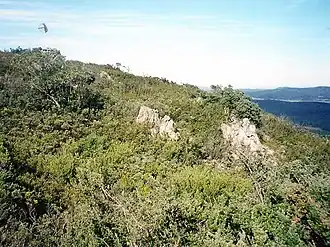 summit of Big Badja Hill, Deua National Park