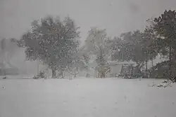 Blizzard conditions in Carlyss, Louisiana on January 21