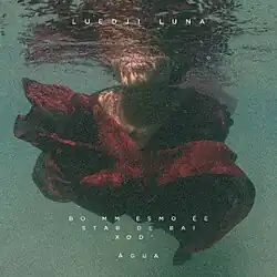 A woman in a red dress, mostly submerged in water, as viewed from beneath the water's surface. Only her the upper part of her face is above water and out of view. The water is greenish, and the entire image has a grainy quality. The name "Luedji Luna" is printed across the top in white, sans serif font, all caps. The name of the album is printed in four lines towards the bottom in the same font, but smaller, but with the words broken up by unexpected spaces as follows: BO MM ESMO ÉE / STAR DE BAI / XOD ' / ÁGUA"
