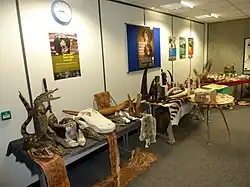 Item depicts three tables against a wall with various illegal wildlife items across them. Some items include skins, ivory, taxidermy, and shoes.