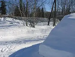 A greenhouse in the Botanical Garden