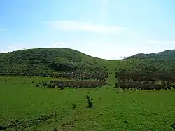 Boyd's Hill near Dunlop